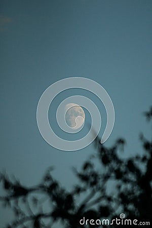 Waxing gibbous on a blue sky in the evening Stock Photo