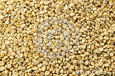 Waxy Corn Seeds Stock Photo