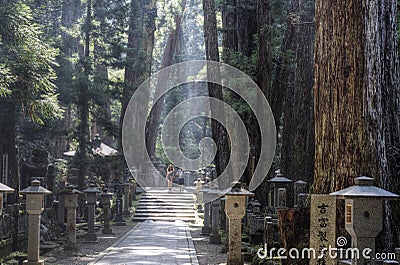 Way through Okunoin cemetery at Koyasan, Japan. Editorial Stock Photo