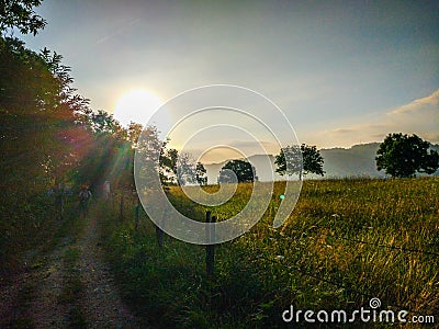 Way through a field full of yellow grass and trees in the morning sunrise, with two pilgrims walking. Camino de Santiago Stock Photo