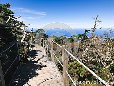 Way on Hallasan volcano. Jeju island, South Korea Stock Photo