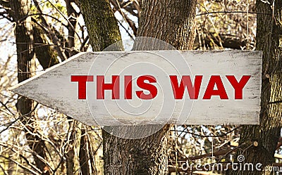 Weathered wooden signpost on a tree in the forest with this way message Stock Photo