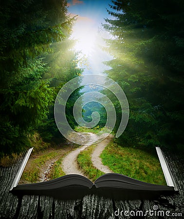 Way through the forest on the book Stock Photo