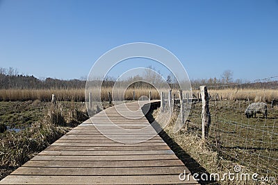 way through the quiet nature of LÃ¼beck Schellbruch, nature reserve Stock Photo