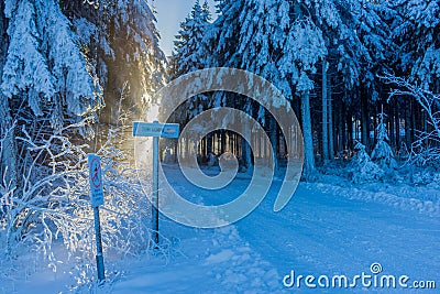 On the way through the Thuringian forest Editorial Stock Photo
