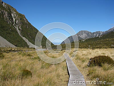 The way to Fox Glacier in New zealand Stock Photo