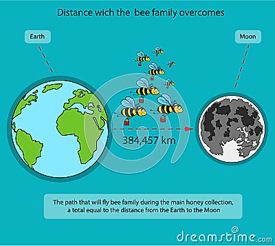 Way which is overcome by a family of bees during the main honey collecting Stock Photo