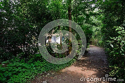 Wayside hedged farmhouse in verdant summer woods Stock Photo