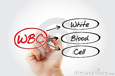 WBC - White Blood Cell acronym Stock Photo