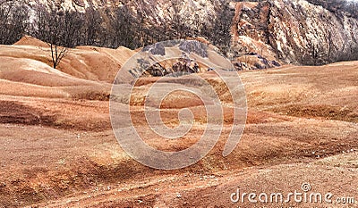 Weak life in selenian landscape of abandoned bauxite mine in Gant, Hungary Stock Photo