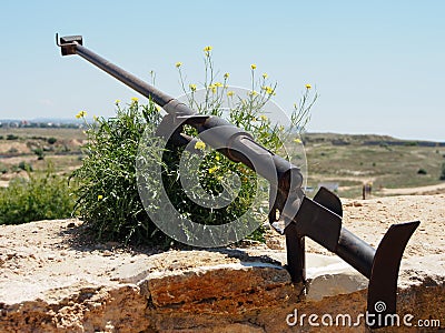 The weapon of the great victory. Stock Photo