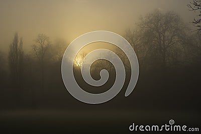 Weather / landscape: The sun sets on a foggy Autumn / Fall day over the park. 4 Stock Photo