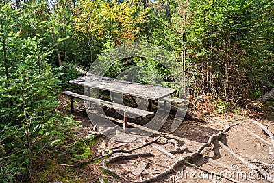 Weatherd picnic table in a forest clearing Stock Photo