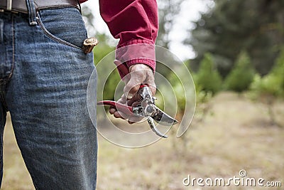 Weathere hands holding pruning shears Stock Photo