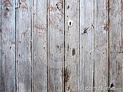 Weathered aged grey wood texture Stock Photo