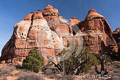 Canyonlands National Park Needles District Utah Stock Photo