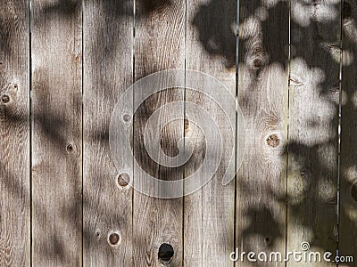 A weathered garden cedar fence background Stock Photo