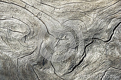 Weathered Gray Contorted Wood Background Stock Photo