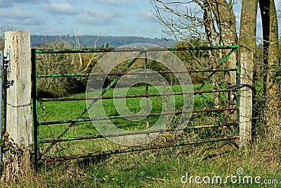 Weathered locked metal bar field gate. Countryside farming land. Stock Photo