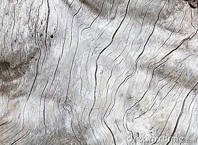 Weathered natural wood Stock Photo