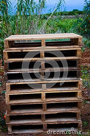 Weathered pine wood pallets stacked in the field Stock Photo