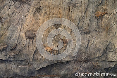 weathered rock surface with faded animal drawings Stock Photo