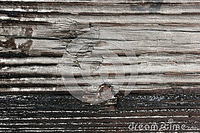 Weathered Wood Stock Photo