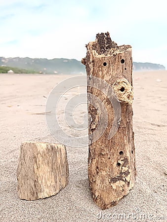 weathered wood on the sand of parangtritis beach Stock Photo