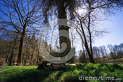 Weathered and wooden bench in the rural German countryside in Stock Photo