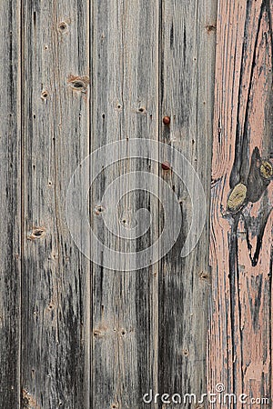Weathered wooden fence palings abstract textured background Stock Photo