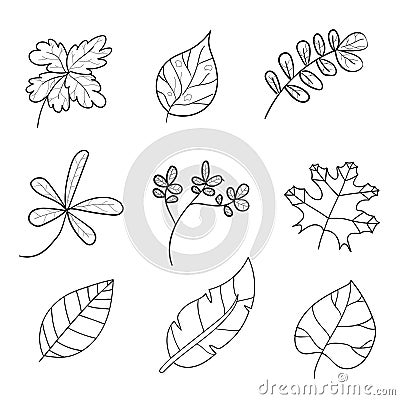 Hand drawn set of vector tropical leave icons. leave hand drawn Vector Illustration