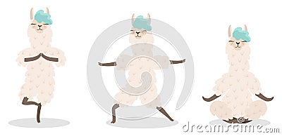 Set of stylish cartoon llamas in various poses of yoga. Vector illustrations isolated on white background. Vector Illustration