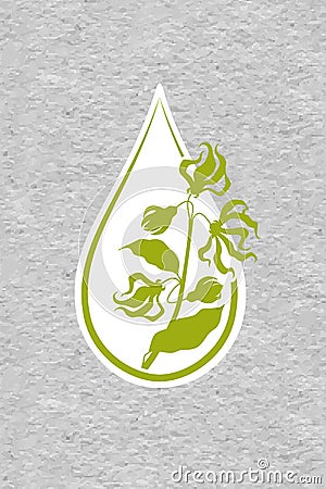 A bottle with essential oil of ylang-ylang flat icon. A drop of ylang ylang flower essential oil logo Branches of cananga tree Vector Illustration