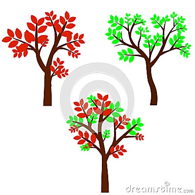 Deciduous tree in four seasons - spring, summer, autumn, winter. Nature and ecology. Natural object for landscape design or park. Cartoon Illustration