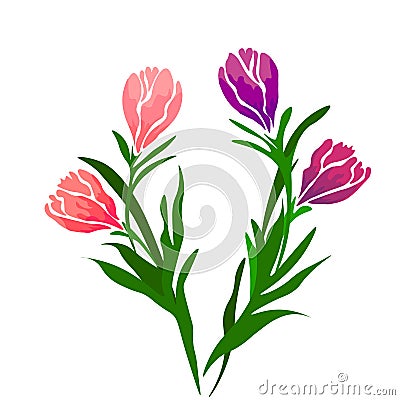 Web. Realistic vector colorful tulips set. Spring flowers background. Bouquet of tulips isolated. Stock Photo