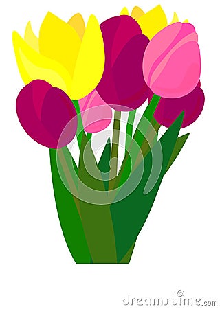 Web. Tulip. Vector illustration. Springtime. Realistic Flowers. Bouquet Cartoon Illustration