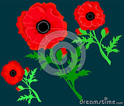 Red Poppy isolated on white background. Vector red romantic poppy flowers and grass. red poppies. Card with poppies. vector Cartoon Illustration