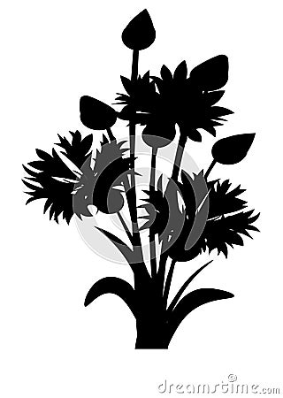 Web. Cornflowers sketch. Rustic bouquet design. Medical herbs set. Vector illustration. Cartoon Illustration