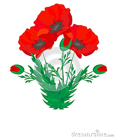 Vector. Bouquet of flowers. Blooming red poppy flowers-butterfly ladybug buds leaves isolated on white. Floral Botanical illustrat Cartoon Illustration