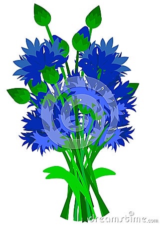 Slant blue cornflower flowers isolated on white background. Cartoon Illustration