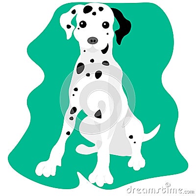 dalmatian dog. Dalmatian sitting with tongue out Stock Photo