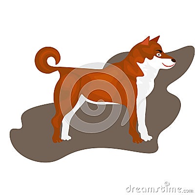 Web Adult Siberian Husky Dogs Or Sibirsky Husky dogs Stock Photo