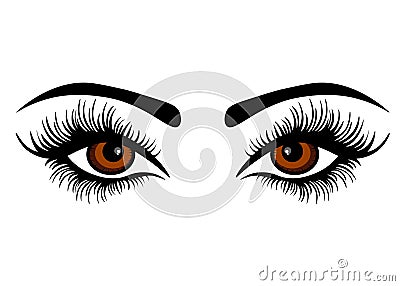 Web Vector female eyes with long lashes Stock Photo