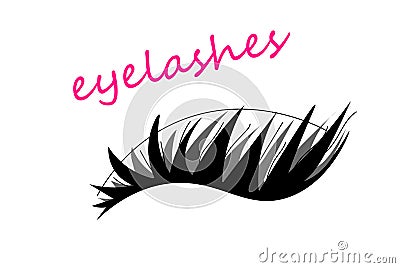 Web Black eyelash extension logo on white background. Vector illustration. Cartoon Illustration