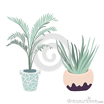 Vector houseplants illustration. Set of two vector flowers. Potted flowers in pastel colors. Vector palm, aloe. Vector Illustration