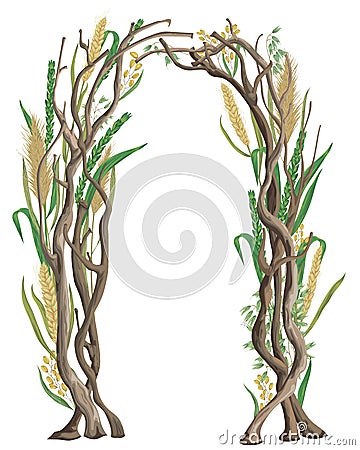 Rustic arch with tree branches and cereals. Barley, wheat, rye, rice and oat. Vintage floral design. Vector Illustration
