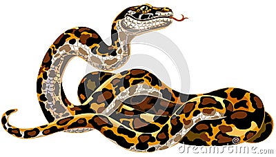 Cartoon python big snake constrictor Vector Illustration