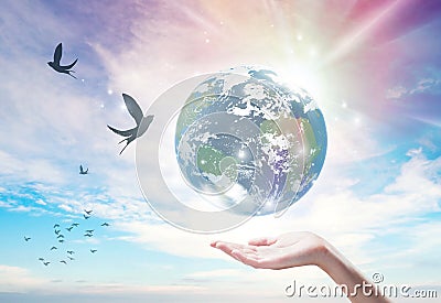 Creation Earth, freedom, clean environment, ecology, connection, health, well being Stock Photo