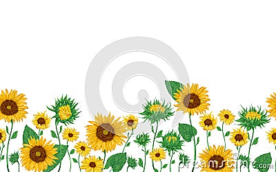 Seamless border with sunflowers set. Isolated elements. Collection decorative floral design elements. Vector Illustration