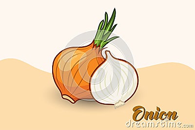 Two onions, one sliced, flat design Vector Illustration